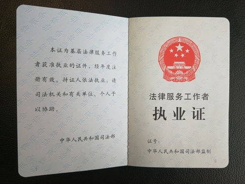 律证佳人免费观看全集--第1张