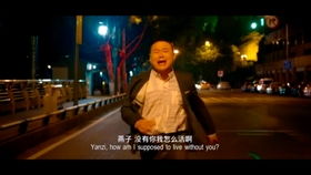 你的世界，路过短剧全集免费观看，精彩短剧，一网打尽--第1张