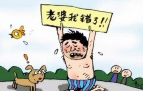 君总夫人带着少爷回家了短剧全集免费观看资讯 君少夫人又上头条了免费阅读--第1张