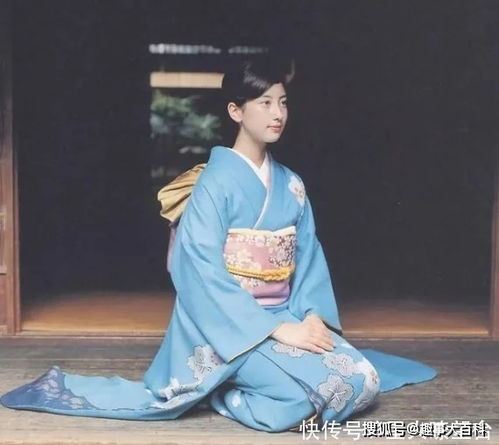 韩总夫人喊你抢菜了短剧全集免费观看资讯--第1张