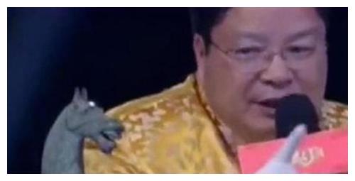 纪总大佬夫人下山，崔秀子短剧全集免费观看资讯，大佬夫人惊艳归来--第1张