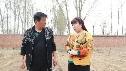 离婚后我嫁给了万人迷小叔短剧全集免费观看资讯 离婚后我嫁给了男主他爸[穿书] 小说--第1张