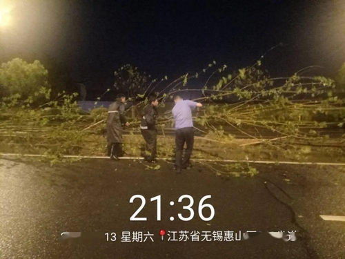 爱在狂风暴雨之后，短剧全集免费观看资讯--第1张