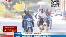 少年无双短剧全集免费观看资讯 少年无双短剧全集免费观看资讯在线--第1张