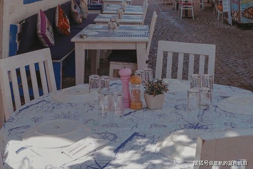 弃婚后高冷女总裁攀我高枝短剧全集免费观看资讯 弃妇离婚后高攀不起--第1张