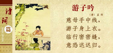 意迟归全集免费观看，短剧即将上线--第1张