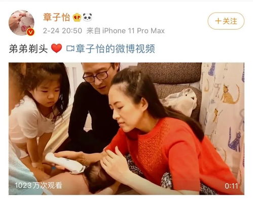 厉总醒醒夫人带娃跑啦短剧全集免费观看资讯--第1张