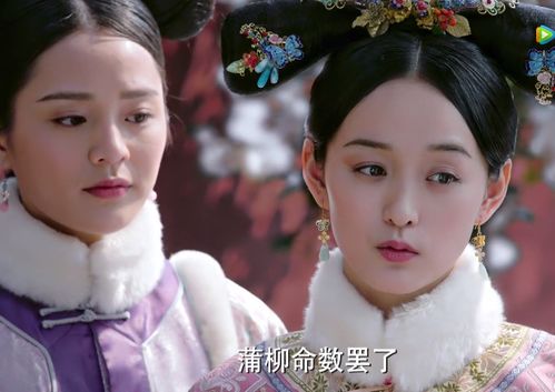 王妃娘娘闯现代白方文短剧全集免费观看资讯 王妃娘娘又跑了全文免费阅读--第1张