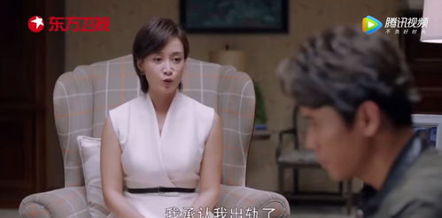 离婚疯批总裁追妻免费观看资讯--第1张