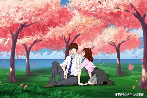天宫维尼宋暖短剧全集免费观看，独家资讯--第1张