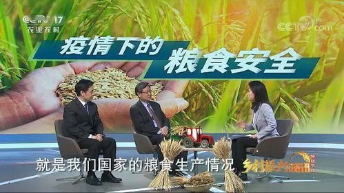 深陷温暖，董昕赟短剧全集免费观看资讯--第1张