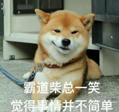 年下狼狗撩得姐姐面红心跳短剧全集免费观看资讯 --第1张