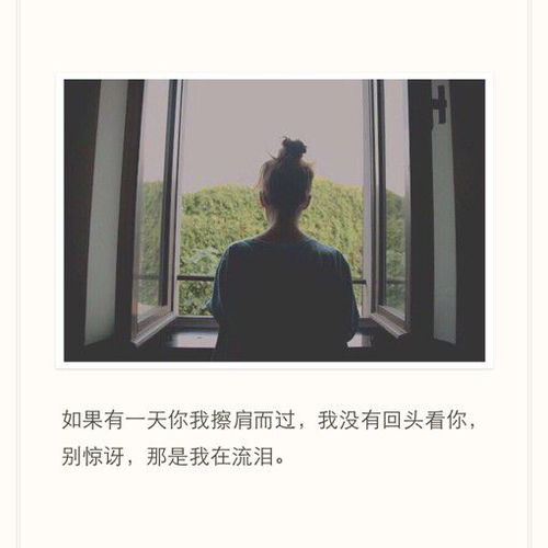 与你擦肩而过短剧全集免费观看，轻松追剧新选择--第1张