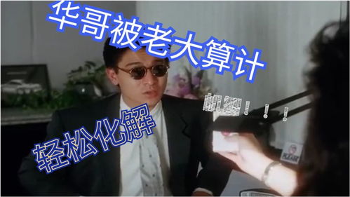 三个大佬哥哥，短剧全集免费观看资讯--第1张