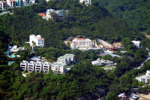 离婚后我成了千亿大小姐短剧全集免费观看资讯--第1张