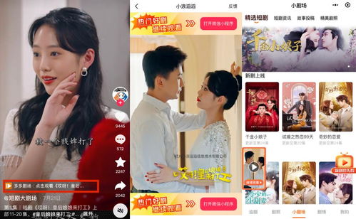豪门蜜宠前妻更风光短剧全集免费观看资讯，豪门蜜宠独占前妻--第1张