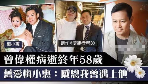 死遁后慕大人后悔了全短剧全集免费观看资讯--第1张