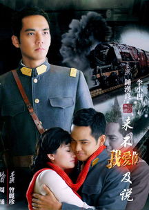 免费观看如果来不及说我爱你短剧全集--第1张