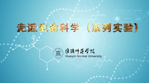 掌中之物短剧全集免费观看，独家资讯，让你轻松观看全集--第1张