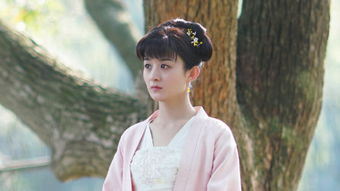 顾总复婚，总裁求放过--第1张