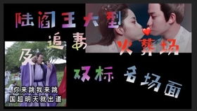 陆总的漫漫追妻路短剧在线免费观看全集资讯 陆总他追妻火葬场免费阅读--第1张