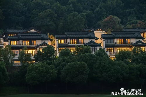 镇北天王短剧在线免费观看全集资讯--第1张