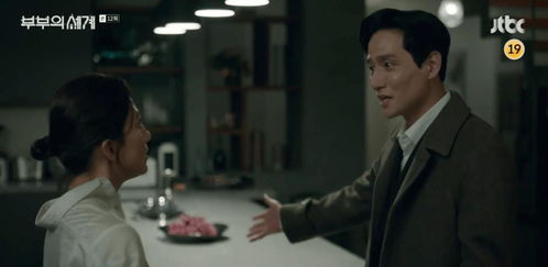 离婚后言少他后悔了短剧在线免费观看全集资讯--第1张
