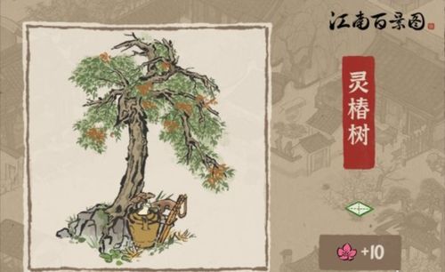 风起江州，短剧在线免费观看全集资讯，揭秘风起江南的神秘面纱--第1张