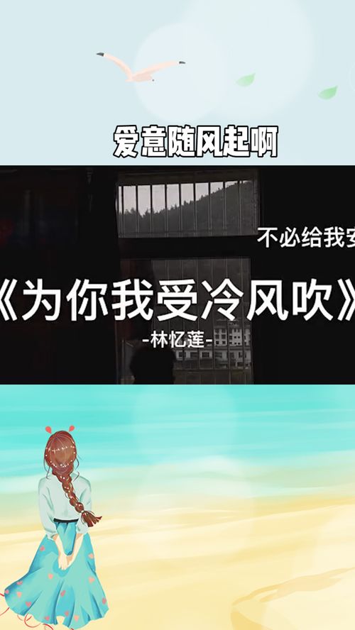 爱意随风起短剧免费观看，全集资讯--第1张