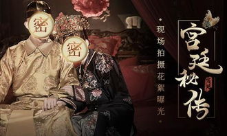 神探宋慈电视剧免费观看全集资讯，神探宋元短剧在线观看--第1张