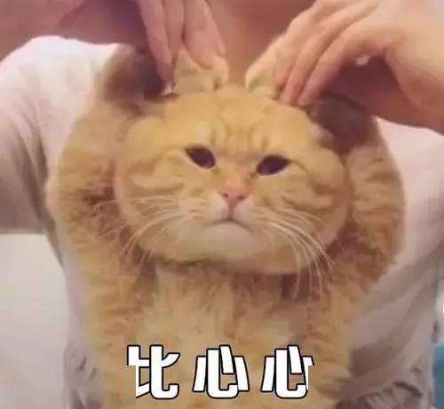 一个可能的标题是无情白眼狼，我的儿子。--第1张