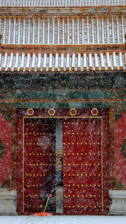 宫墙雪短剧在线免费观看全集资讯--第1张