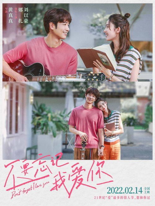 不要忘记我爱你，全集免费在线观看--第1张