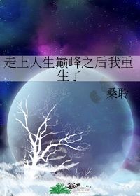 重生之走向人生巅峰--第1张