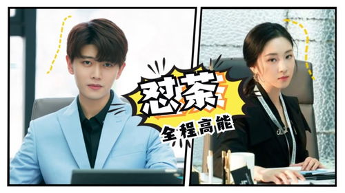 顾总的潜逃罪妻短剧在线免费观看全集资讯--第1张