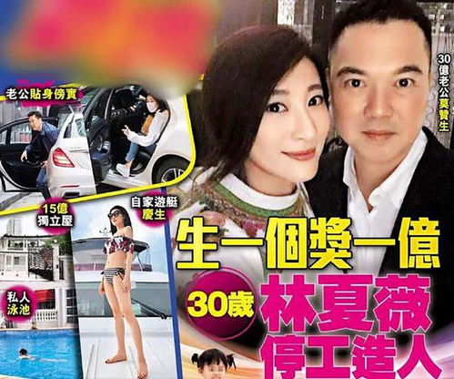 豪门傻少爷短剧在线免费观看全集资讯--第1张