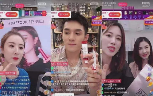 爱的回归线免费在线全集观看--第1张