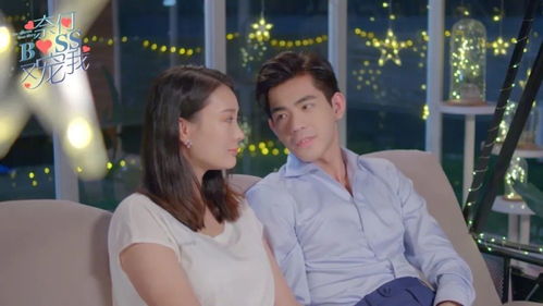 离婚后前妻她美又飒短剧在线免费观看全集资讯 离婚后前妻a爆了笔趣阁--第1张