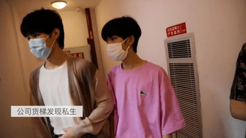 贺少的私宠罪妻短剧在线免费观看全集资讯 贺少宠妻超甜--第1张