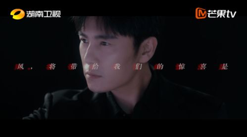 秦总嗜爱成瘾短剧在线免费观看全集资讯--第1张