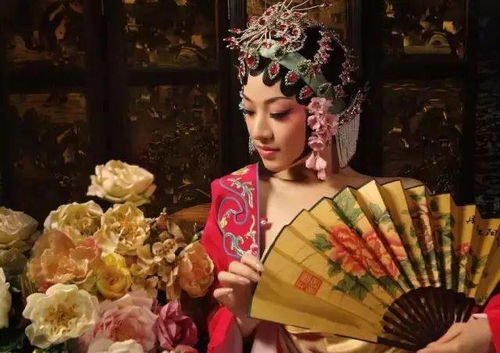 回到古代我把教坊司价格打下来了短剧在线免费观看全集资讯 回到古代当教师--第1张