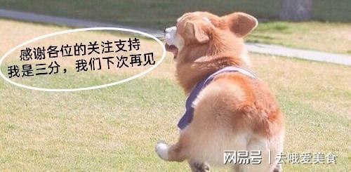 不想恋爱？我有九千万亿舔狗金，免费观看全集！--第1张