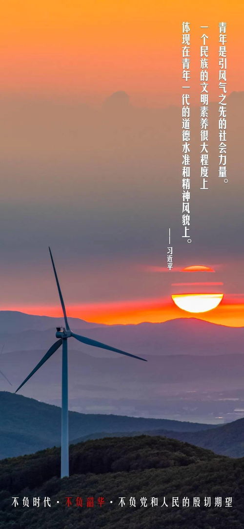 不负韶华短剧免费在线观看资讯--第1张