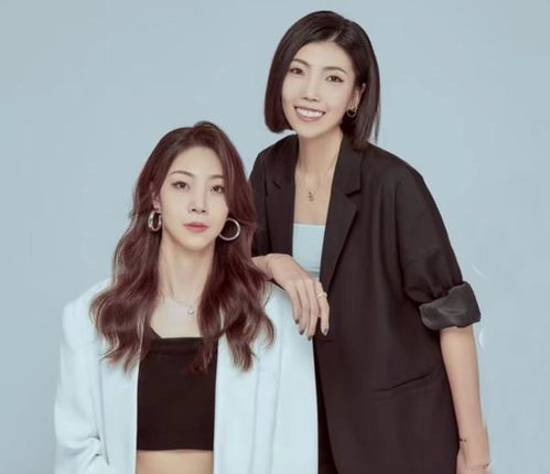 女总裁还乡又美又飒，短剧在线免费观看全集资讯--第1张