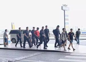 我的保镖很能打短剧在线免费观看全集资讯，我的保镖们的强大力量--第1张
