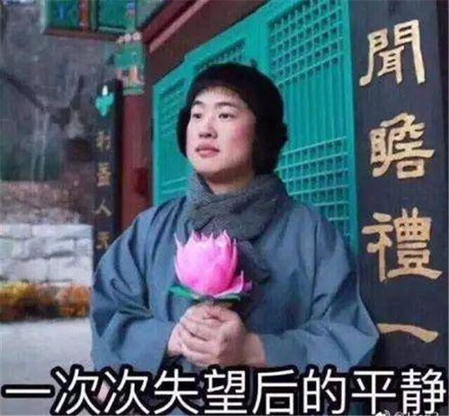 傅少求求你别虐了免费阅读--第1张