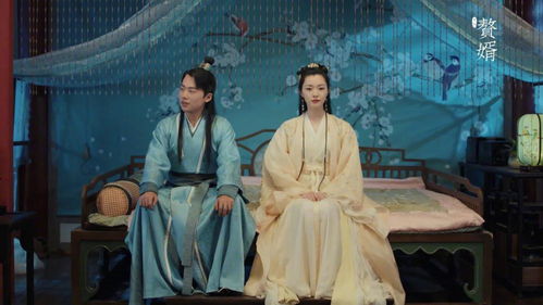 赘婿天子，短剧在线免费观看全集--第1张