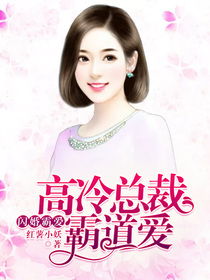 闪婚美女总裁，老公大人别乱来--第1张