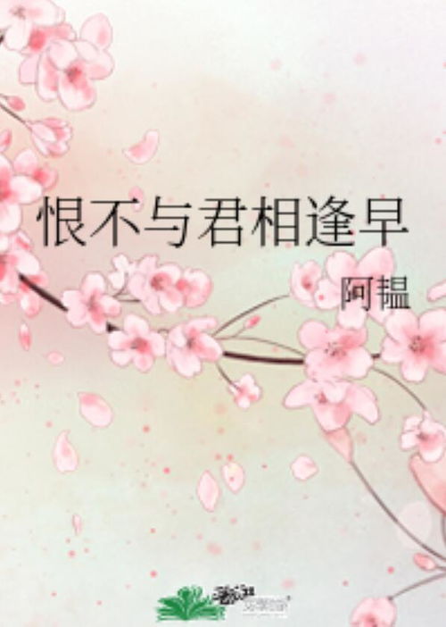 与君再相逢短剧在线免费观看全集资讯 与君再相逢下一句--第1张