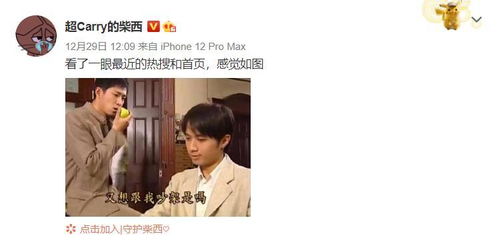 柴犬柴柴短剧，孤单又灿烂的你，免费在线观看全集资讯--第1张